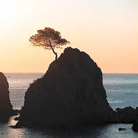 Mana Mana Youth Vandrerhjem Tossa de Mar